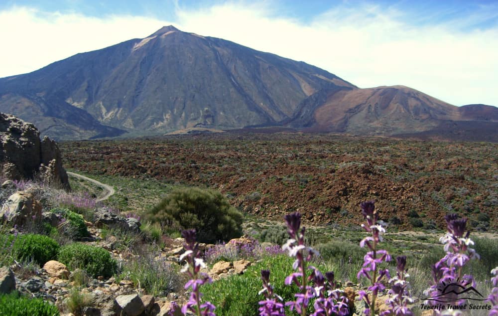 Vista del Teide