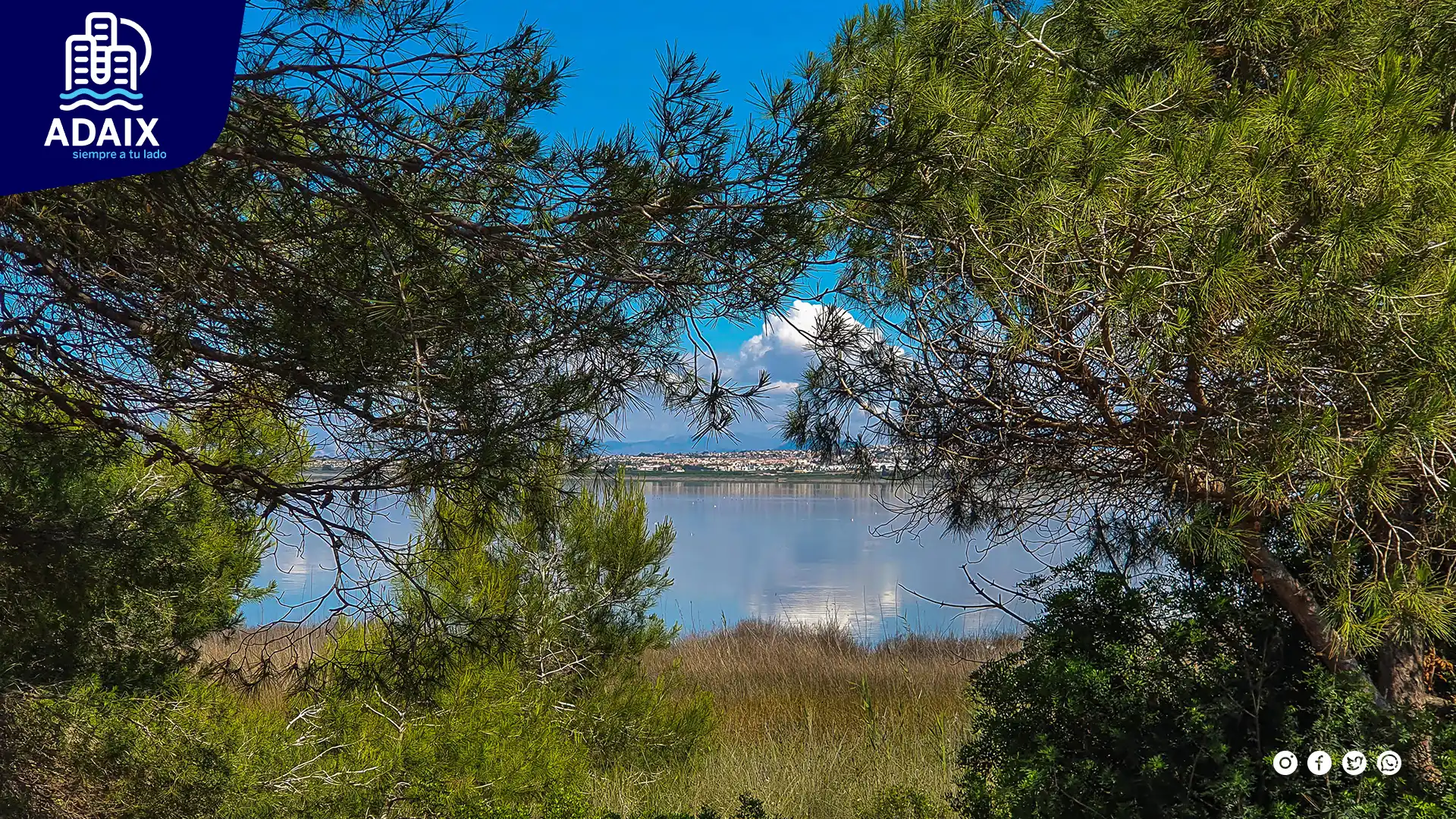 torrevieja parque 1