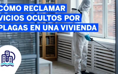 Inicio 2026 6 Cómo reclamar vicios ocultos por plagas en una vivienda