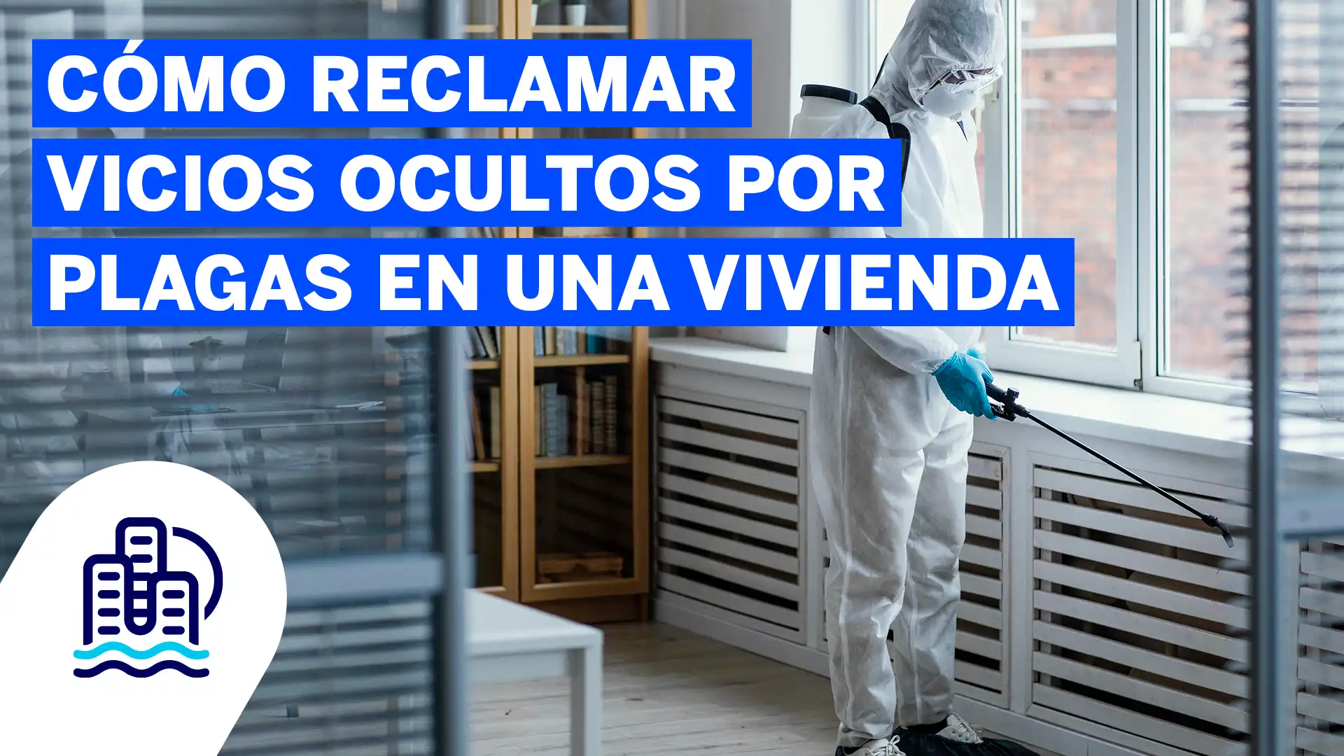 Cómo reclamar vicios ocultos por plagas en una vivienda Cómo reclamar vicios ocultos por plagas en una vivienda