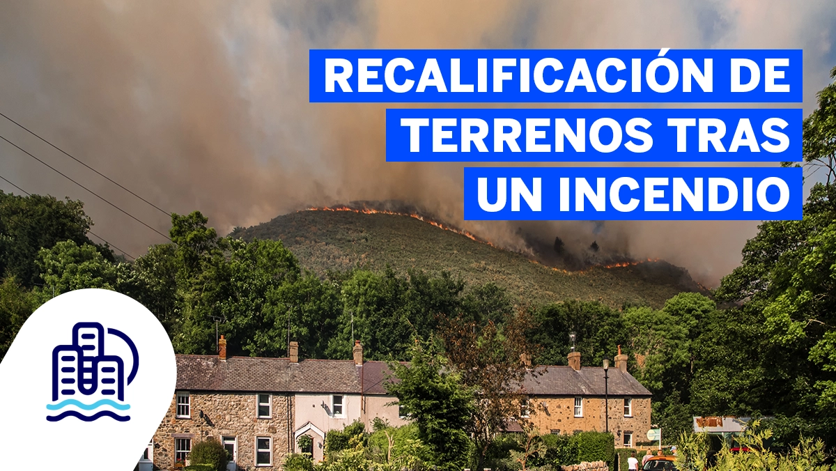 Recalificación de terrenos tras un incendio Recalificacion de terrenos tras un incendio